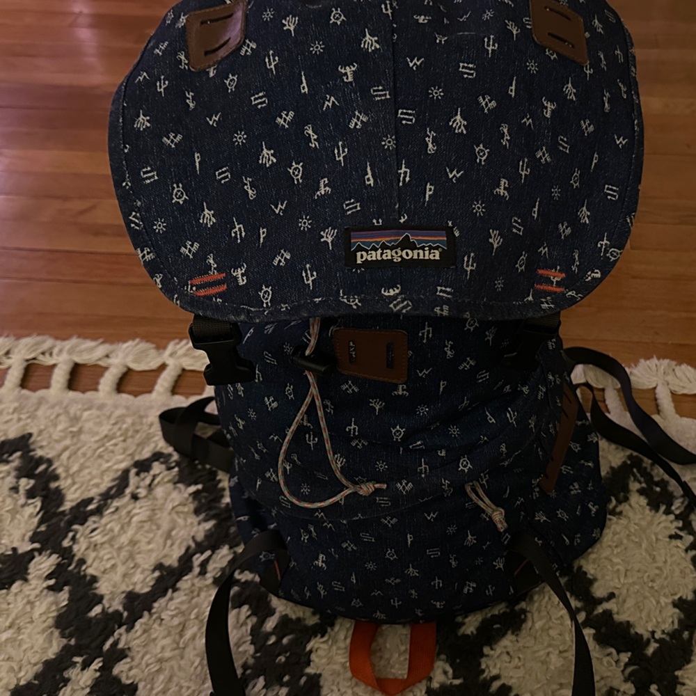 Patagonia Dark Blue Patterned Men's Backpack